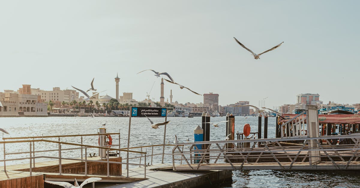 Dubai Air Taxi Network Takes Shape with Completion of First 